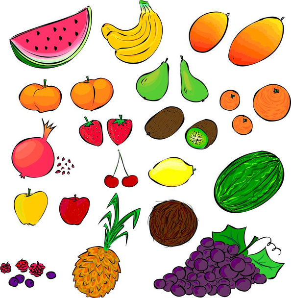 Alle soorten vruchten - Vector, afbeelding