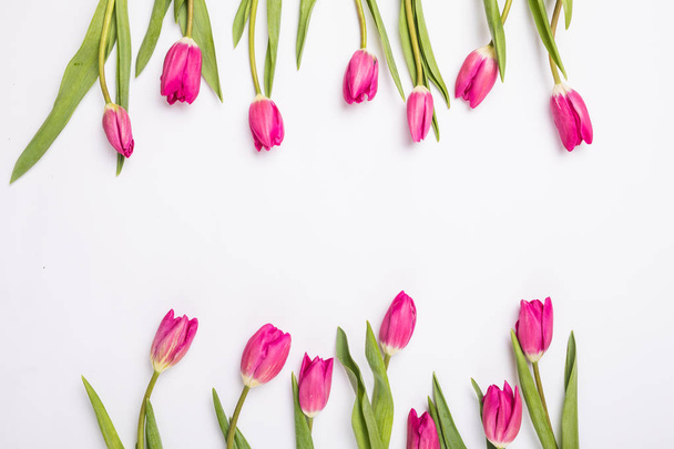 pink tulips isolated on white for two sides. Flat lay, top view. - Fotó, kép
