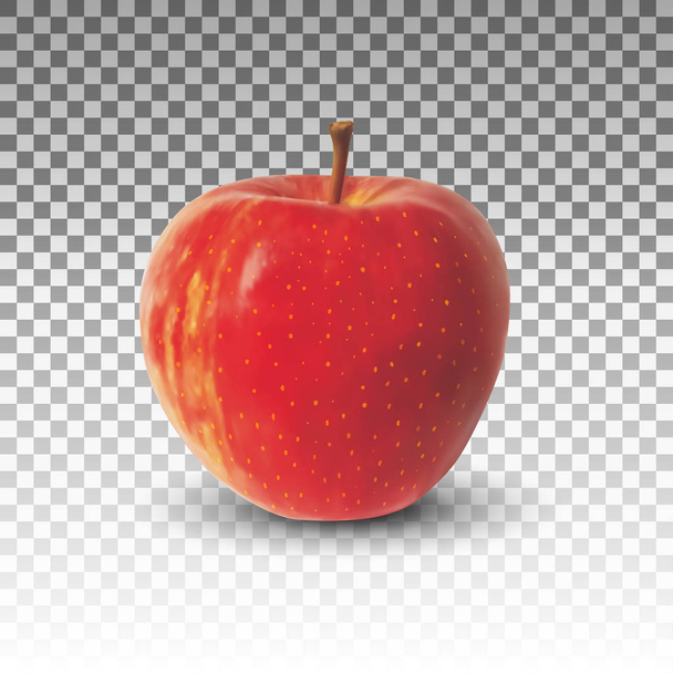Μήλο φρούτα ρεαλιστική διάνυσμα απομονωμένες - Διάνυσμα, εικόνα