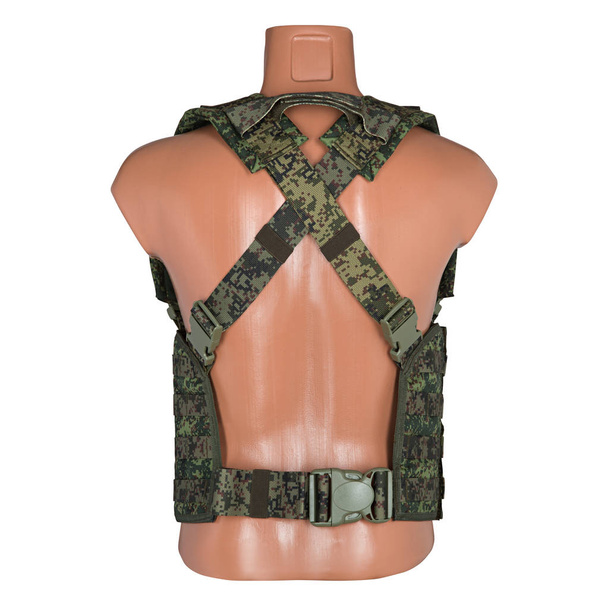 camouflage, military body armor - Photo, Image
