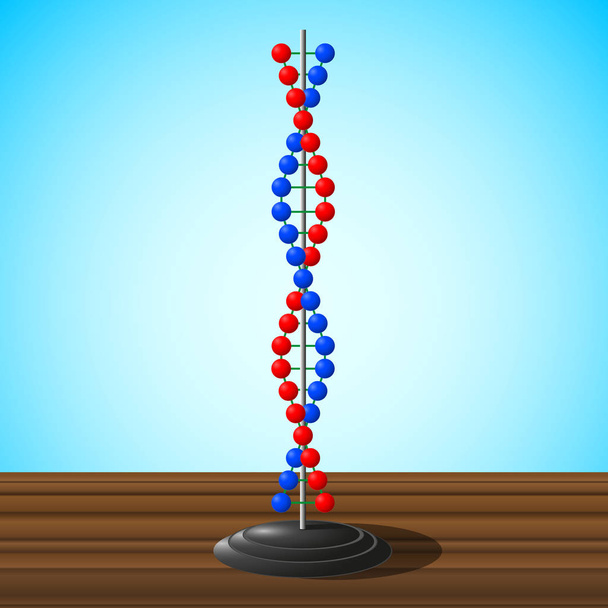Ihmisen DNA-malli
 - Vektori, kuva