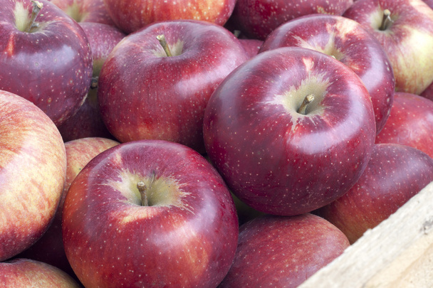 çok temiz olgun organik elma - Fotoğraf, Görsel