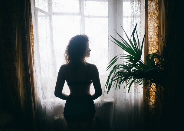 the girl about a window - 写真・画像