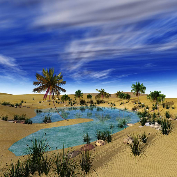 Panorama of the desert. Oasis and palm trees. banner. - Photo, Image
