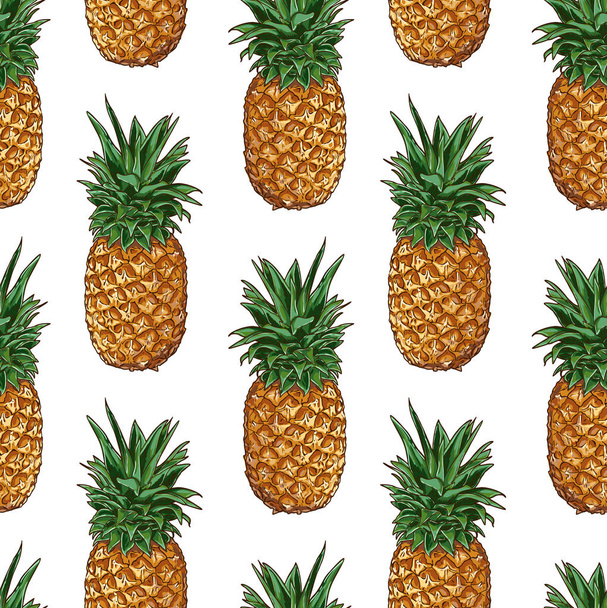 Seamless Vecor Pineapple Pattern - Вектор,изображение