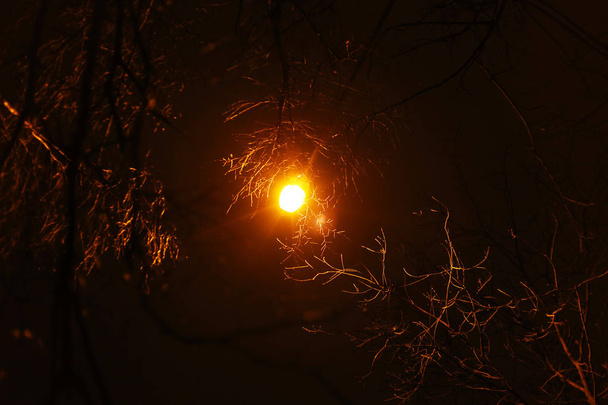 lantern in night city - Фото, зображення