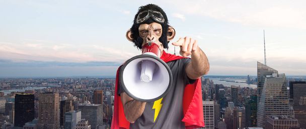 Υπερήρωα μαϊμού άνθρωπος φωνάζει από το megaphone - Φωτογραφία, εικόνα