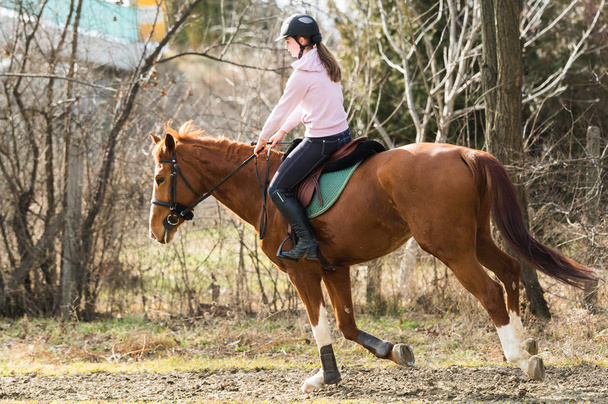 馬に乗る少女 - 写真・画像