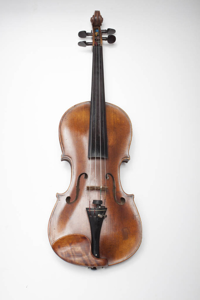 violino sobre um fundo branco - Foto, Imagem