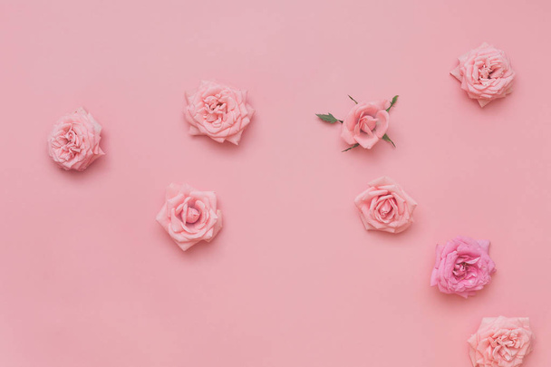  Assorted roses heads on pastel background  - Fotografie, Obrázek