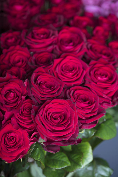 Bouquet colorato di rose - Foto, immagini