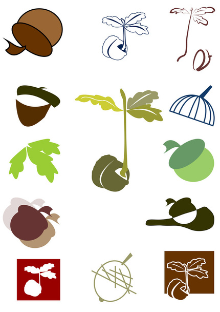 Set di icone e logo con germoglio di quercia e ghianda
 - Vettoriali, immagini