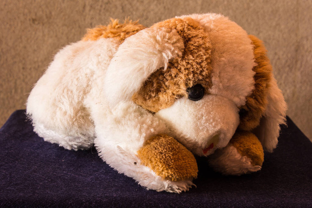 Natürmort sevimli köpek kahverengi bebek - Fotoğraf, Görsel