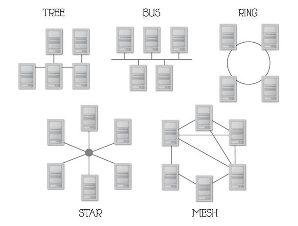 Topologie du réseau
 - Vecteur, image