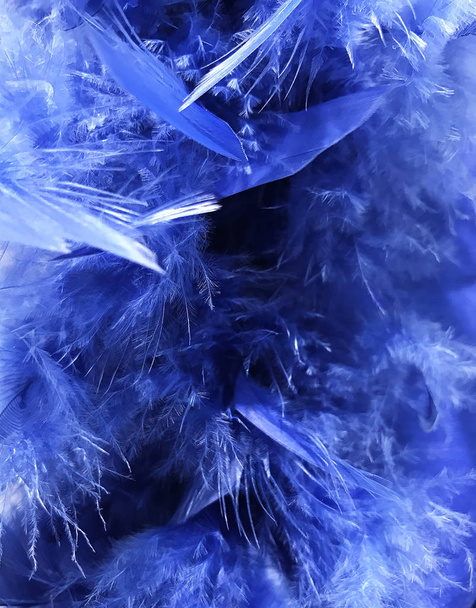 Colored feathers photographed as texture and background - Fotó, kép