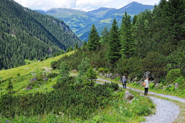 Люди, путешествующие по альпийскому ландшафту Циллертальной долины
 - Фото, изображение