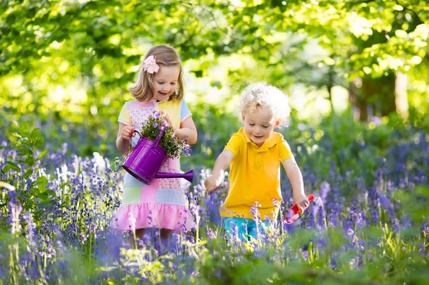 Játszó bluebell virágok virágzó kert - Fotó, kép