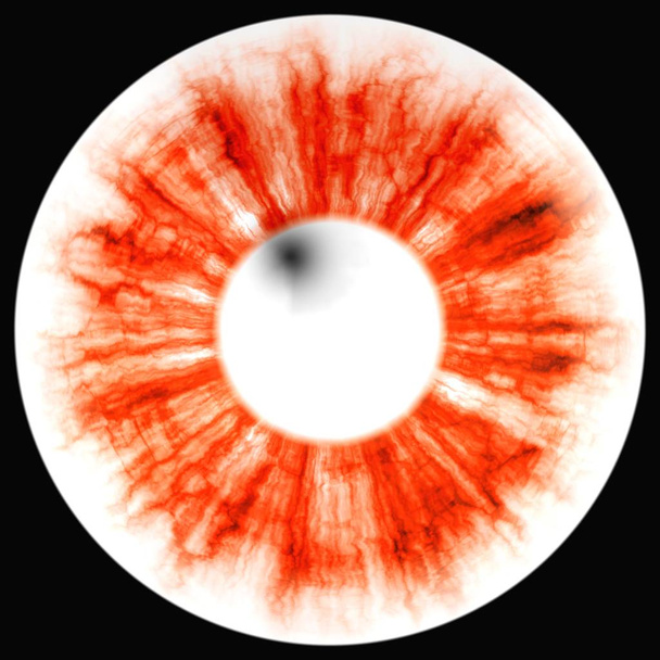 Eye RTG. Illustration of human eye in rentgen photo - Photo, Image