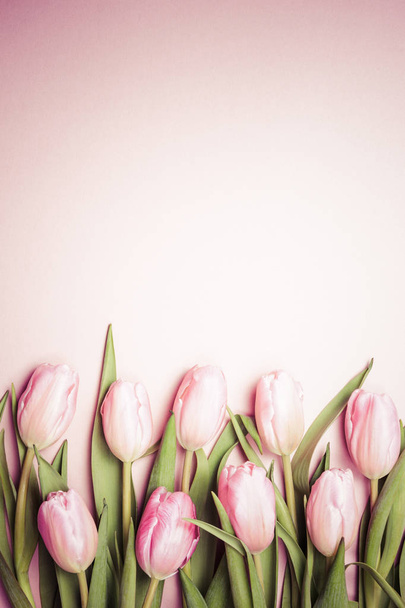 Розовые тюльпаны на розовом фоне. Квартира лежала, вид сверху. Валенти
 - Фото, изображение