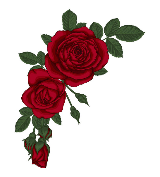 赤いバラと葉の美しい花束。花の配置. - ベクター画像