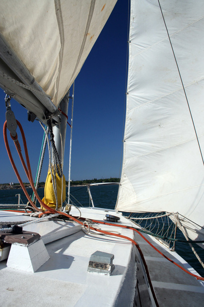 Under a sail - Photo, Image