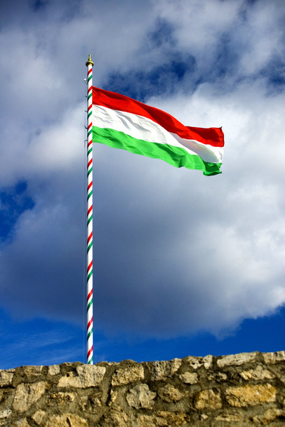 Bandeira húngara
 - Foto, Imagem
