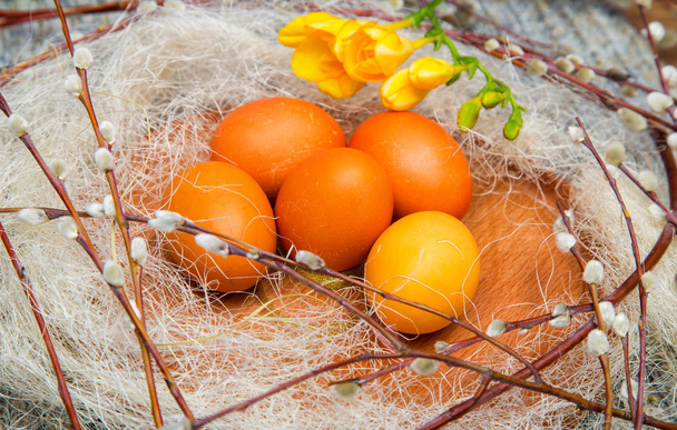 Easter colored eggs on a wooden stand with willow twigs - Photo, Image
