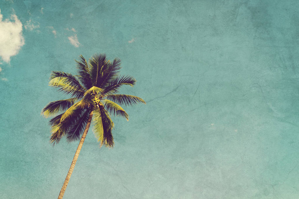 Palme da cocco e sole splendente con effetto vintage
. - Foto, immagini