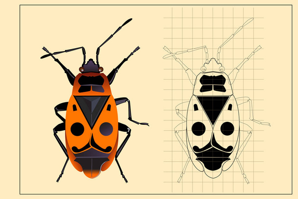 Beetle and Beetle drawing on colored paper - Vektor, kép