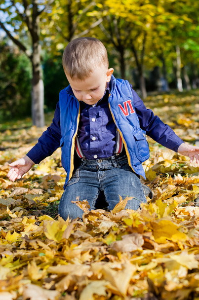 Маленький мальчик преклонил колени в осенних листьях
 - Фото, изображение