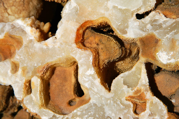 Kalksteen groeve in de natuur - Foto, afbeelding