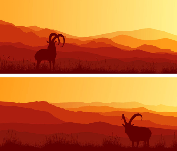 Bannières horizontales larges de chèvres pâturant dans les prairies
. - Vecteur, image