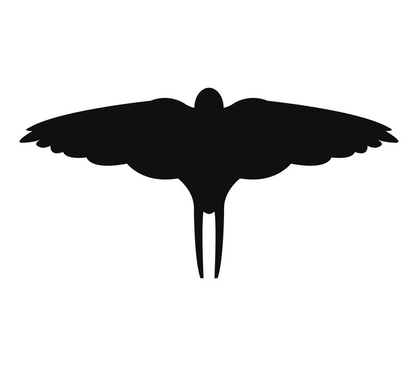 Swallow icon illustrated on a white background - Vector, Image