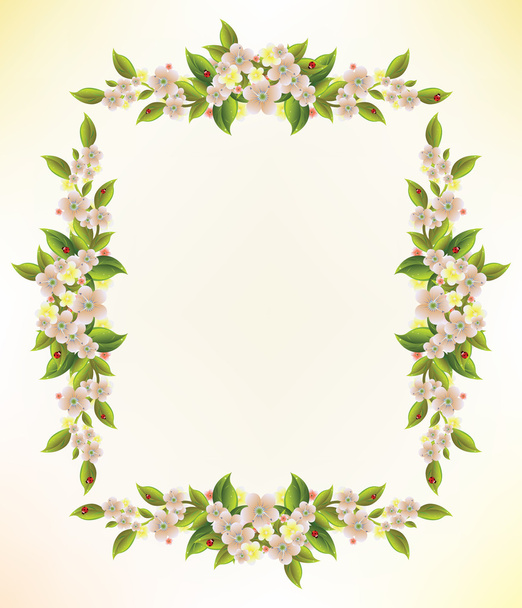 Floral frame - Vecteur, image