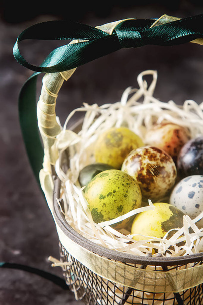 Multi-colored Easter egg. Quail eggs with feathers in basket. Da - Фото, зображення