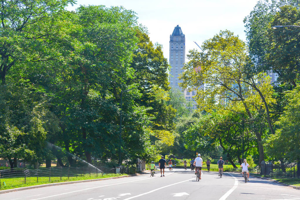 High rising buildings around Central Park summer - Foto, Bild