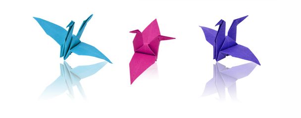 Paper bird craft - Photo, Image