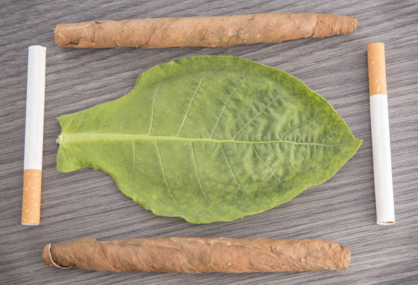 Leaves, tobacco and cigarettes (Nicotiana tabacum) - Foto, afbeelding