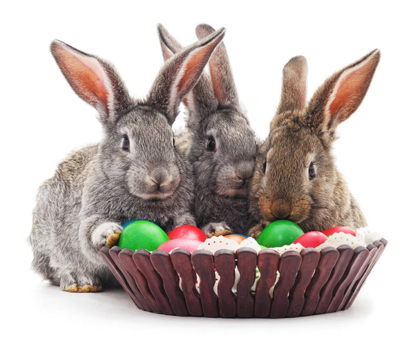 Easter rabbits with colored eggs. - Valokuva, kuva
