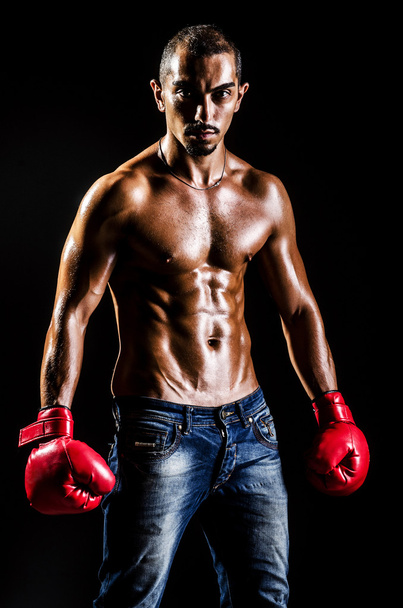 Muscular boxer in studio shooting - Foto, imagen