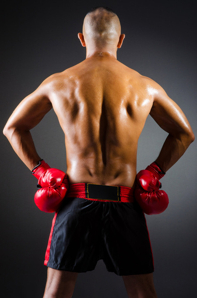 Muscular boxer in studio shooting - Foto, afbeelding