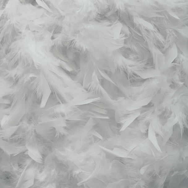 Diseño creativo hecho de plumas blancas
 - Foto, Imagen