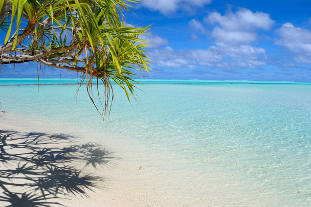 doskonały tropikalnej plaży w środku Pacyfiku - Zdjęcie, obraz