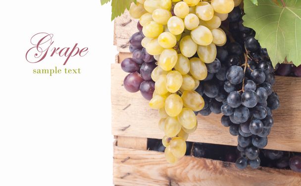 Red and white grapes - Photo, Image