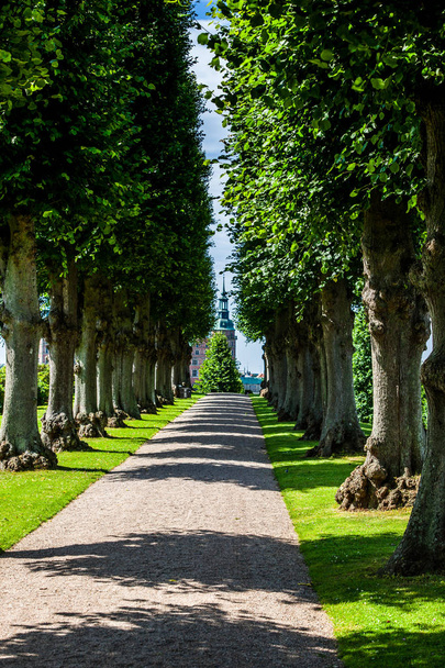 フレデリクスボー宮殿につながる美しい夏緑エール  - 写真・画像