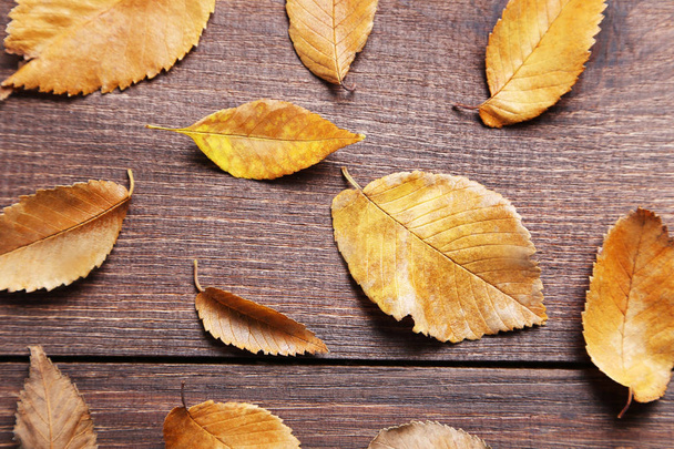 leaves on brown wooden table - Fotografie, Obrázek
