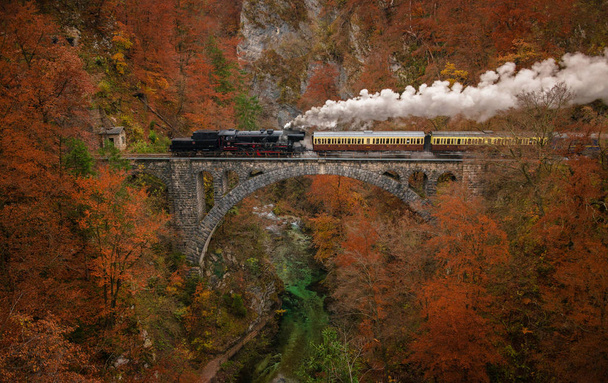 Old museum train is passing a bridge - Photo, Image