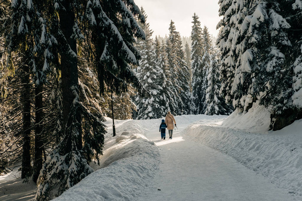 Mother with  child walking at beautiful winter forest - Foto, immagini
