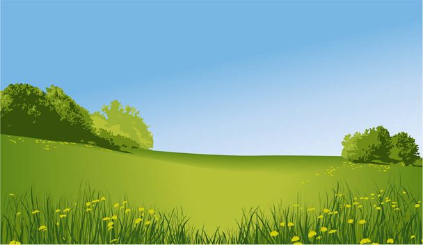Green rural landscape  - Vector, Image
