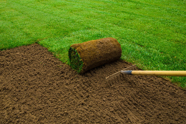 Gardener applying turf rolls - Фото, изображение